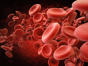 thumbnails OBN BioTuesday: A Spotlight on Cardiovascular Disease & Diagnostics - Thrombosis, Platelets & Personalised Medicine